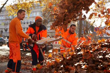 Vergrößerte Ansicht von diesem Bild