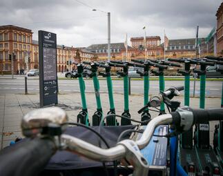 Vergrößerte Ansicht von 