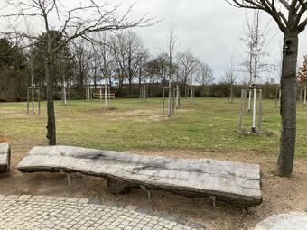 Vergrößerte Ansicht von 