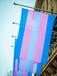 Vergrößerte Ansicht von Trans-Flaggen am Mannheimer Rathaus
