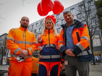 Vergrößerte Ansicht von 