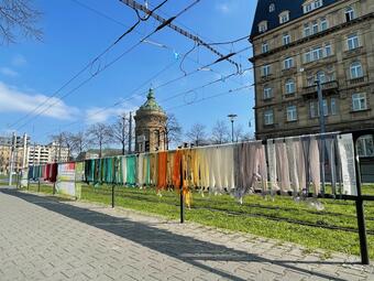 Vergrößerte Ansicht von 