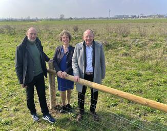 Vergrößerte Ansicht von 