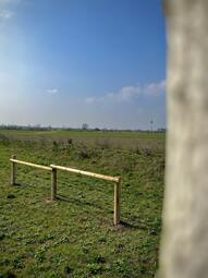 Vergrößerte Ansicht von 