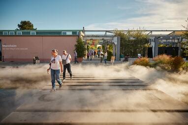 Vergrößerte Ansicht von 