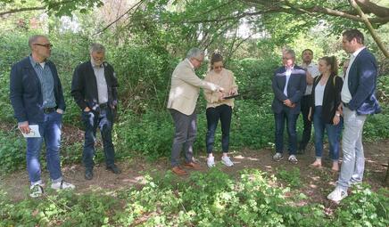 Vergrößerte Ansicht von 