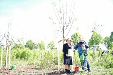 Vergrößerte Ansicht von 