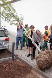 Vergrößerte Ansicht von 