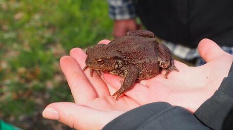 Vergrößerte Ansicht von diesem Bild