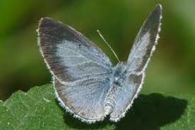 Vergrößerte Ansicht von diesem Bild