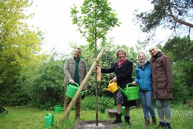 Vergrößerte Ansicht von 