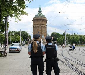 Vergrößerte Ansicht von 