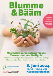 Vergrößerte Ansicht von 