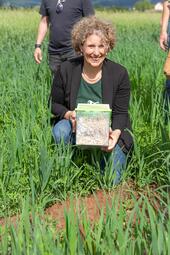 Vergrößerte Ansicht von 