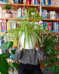 Vergrößerte Ansicht von Frau hält Blumentopf mit grüner Pflanze vor ihr Gesicht. Im Hintergrund ein Bücherregal.