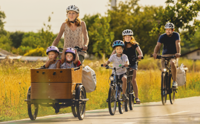 Vergrößerte Ansicht von 