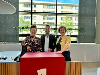 Vergrößerte Ansicht von 