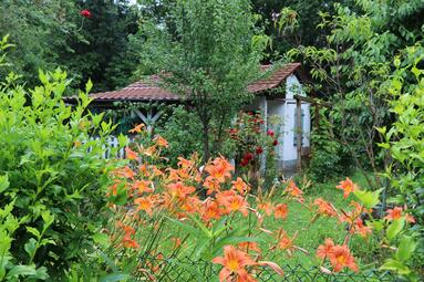 Vergrößerte Ansicht von 