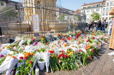 Vergrößerte Ansicht von 