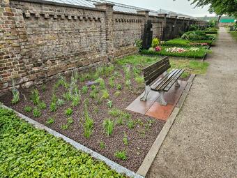 Vergrößerte Ansicht von 