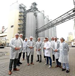 Vergrößerte Ansicht von 