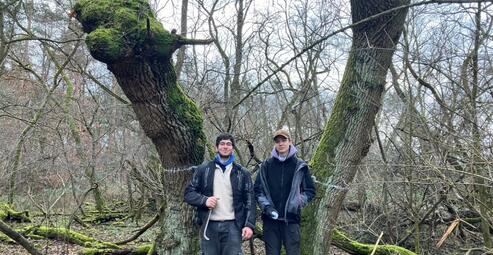 Vergrößerte Ansicht von diesem Bild