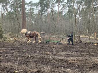 Vergrößerte Ansicht von diesem Bild
