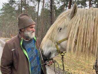 Vergrößerte Ansicht von diesem Bild