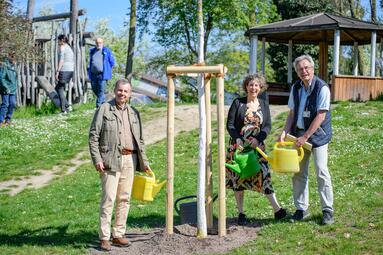 Vergrößerte Ansicht von 
