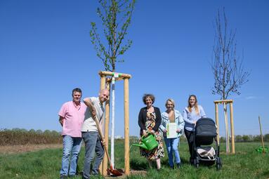 Vergrößerte Ansicht von 