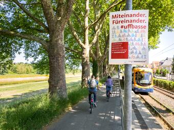 Vergrößerte Ansicht von 