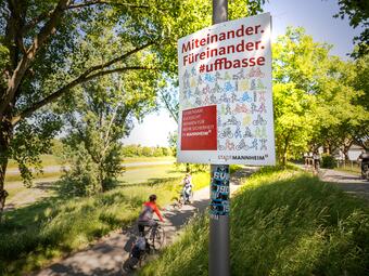 Vergrößerte Ansicht von 