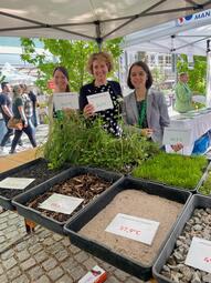 Vergrößerte Ansicht von 