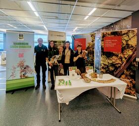 Vergrößerte Ansicht von 