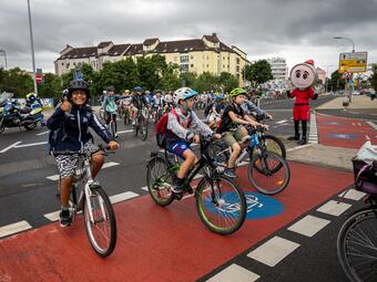Vergrößerte Ansicht von 