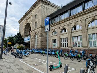 Vergrößerte Ansicht von 