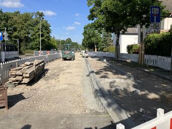 Vergrößerte Ansicht von diesem Bild