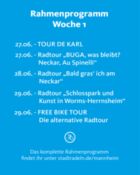 Vergrößerte Ansicht von 