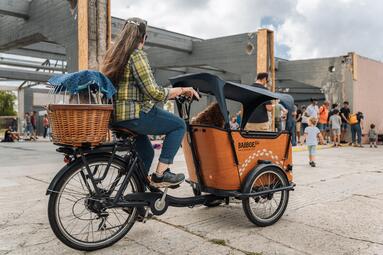 Vergrößerte Ansicht von 