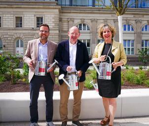 Vergrößerte Ansicht von 