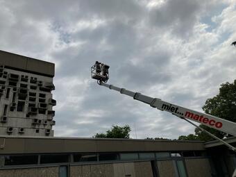 Vergrößerte Ansicht von 