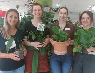 Vergrößerte Ansicht von Vier junge Frauen halten lächelnd Pflanzen in den Händen.