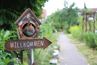 Vergrößerte Ansicht von 