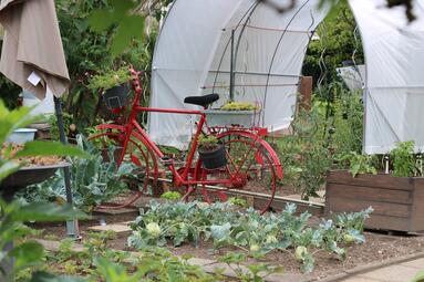 Vergrößerte Ansicht von 