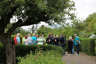 Vergrößerte Ansicht von 