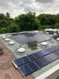 Vergrößerte Ansicht von 