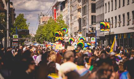 Vergrößerte Ansicht von 