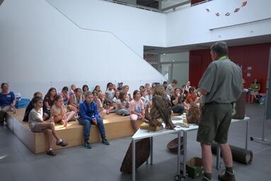 Vergrößerte Ansicht von 