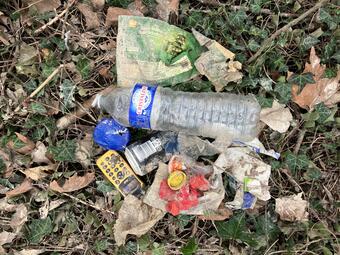 Vergrößerte Ansicht von 