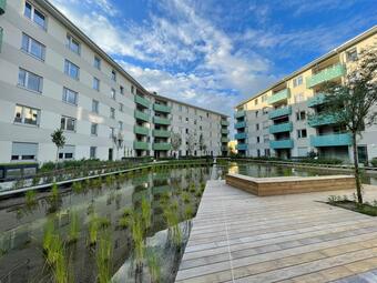 Vergrößerte Ansicht von 